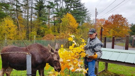 Maine Wildlife Park