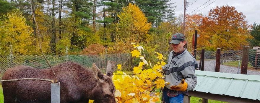 Maine Wildlife Park