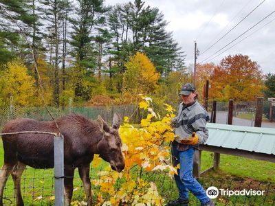 Maine Wildlife Park