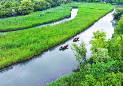 Xixi Wetland (East Part)
