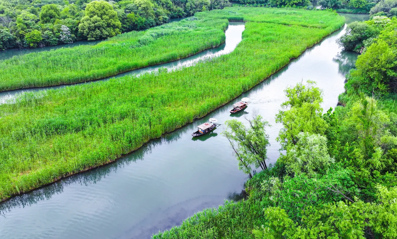 1_西溪國家濕地公園