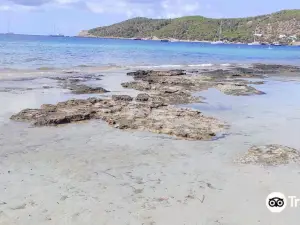 Sa Trinxa