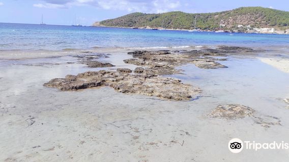 Ibiza