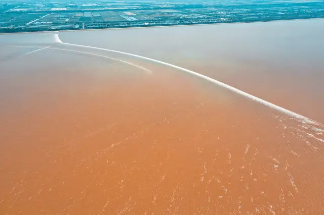 Tide Watching in Haiyan