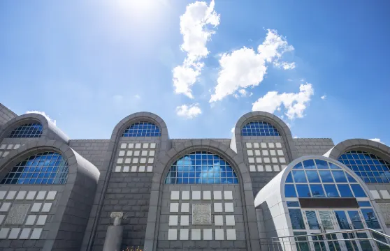 新疆維吾爾自治區博物館拼團人工講解服務(包括入園代預約)成人