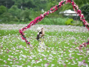 茘波の人気春旅におすすめ