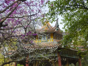 Wuhan Botanical Garden