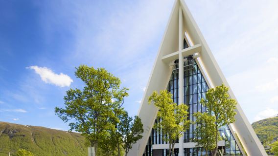 Arctic Cathedral