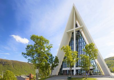 Arctic Cathedral