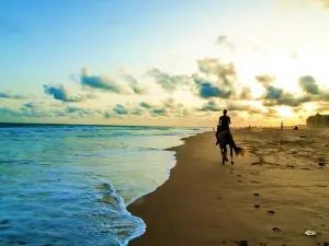Obama beach