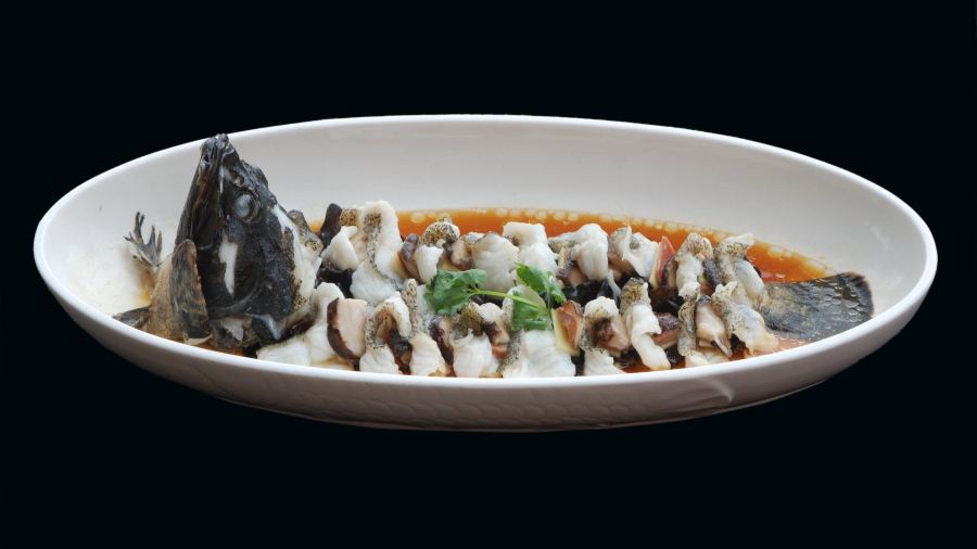 银轮阳光(赤城路店)