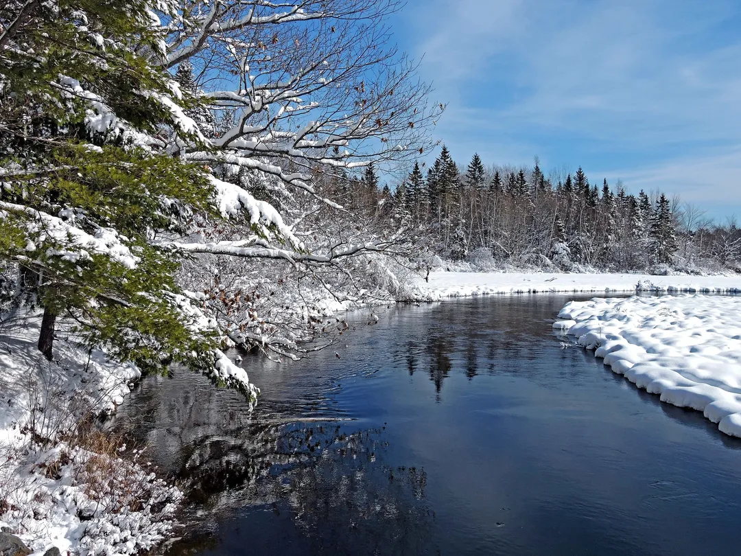 2_Unionville