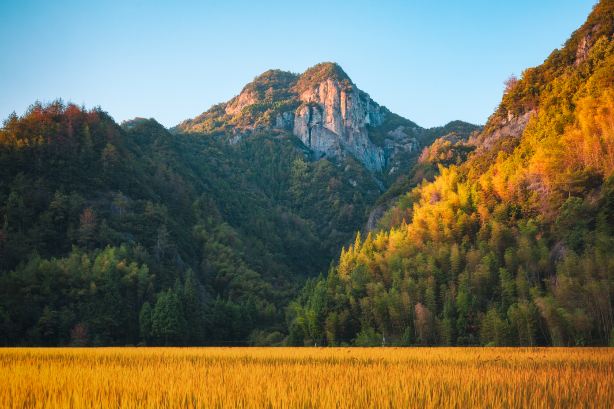 Danzhu Leisure Valley