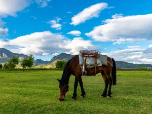 Lashi Lake Ancient Tea House and Horse Road