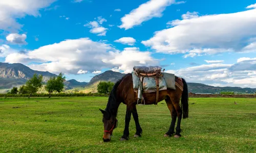 Lashi Lake Ancient Tea House and Horse Road