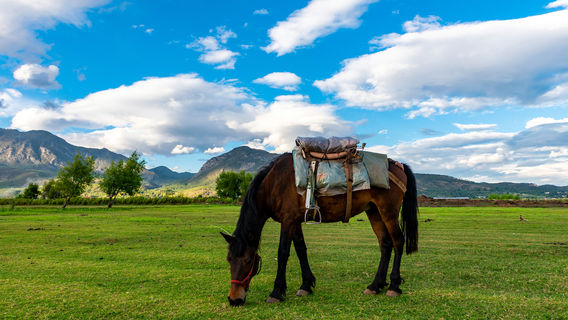 Lashi Lake Horse Riding