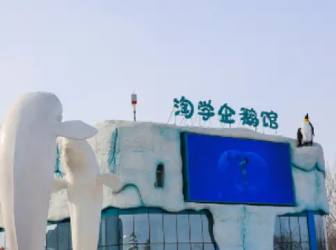 Harbin Polarland·Smart Penguin Home