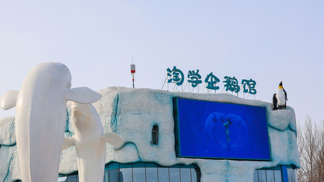 Harbin Polarland·Smart Penguin Home