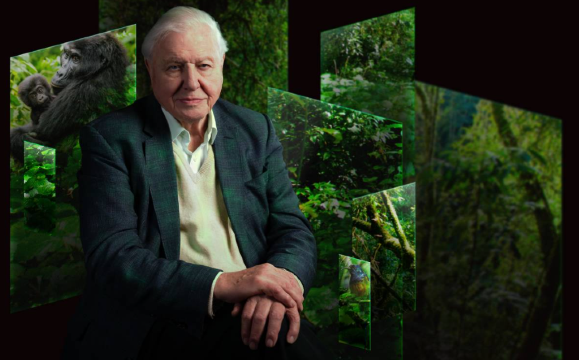 Our Story with David Attenborough | Natural History Museum