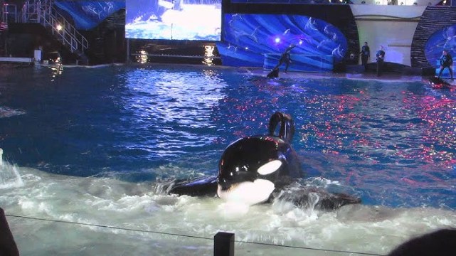 Popular Night Attractions in San Diego