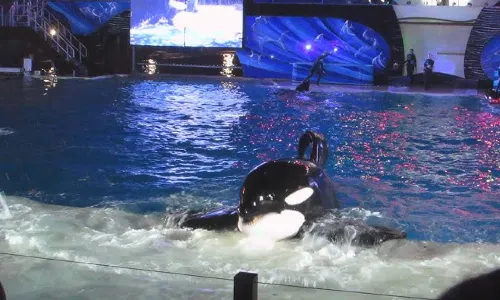SeaWorld San Diego