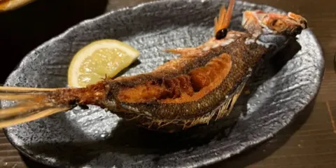 Yunangi