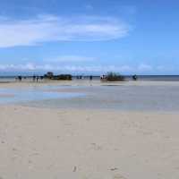 A lengthy sandbar