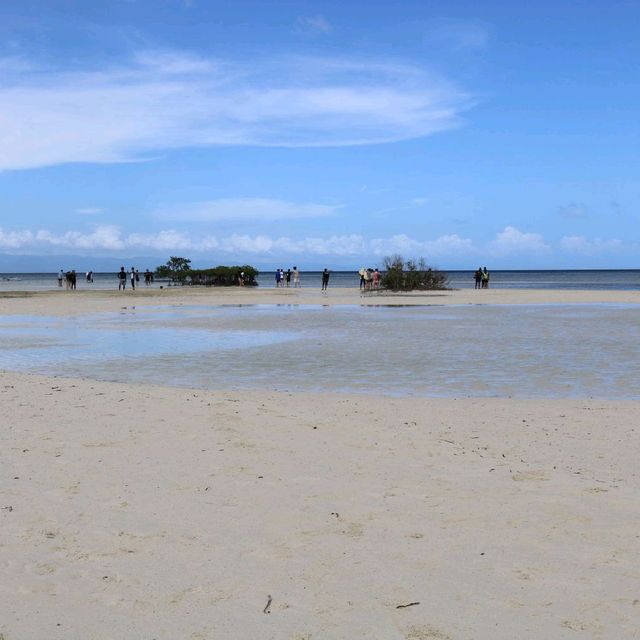 A lengthy sandbar