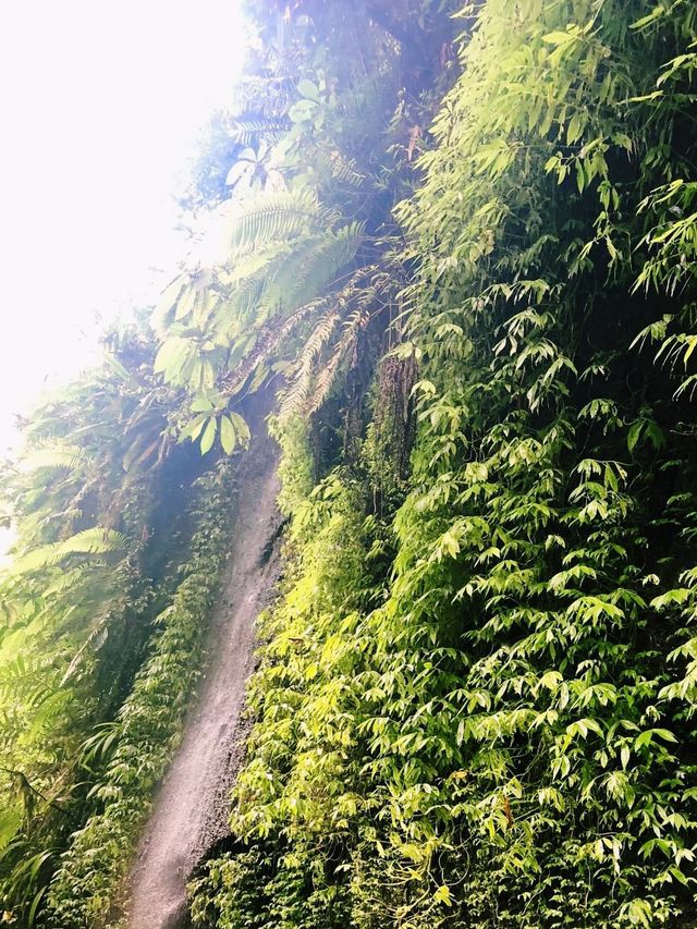 Bali’s waterfall to be hunt by