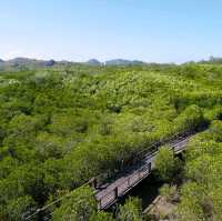 ป่าชายเลน วนอุทยานปราณบุรี