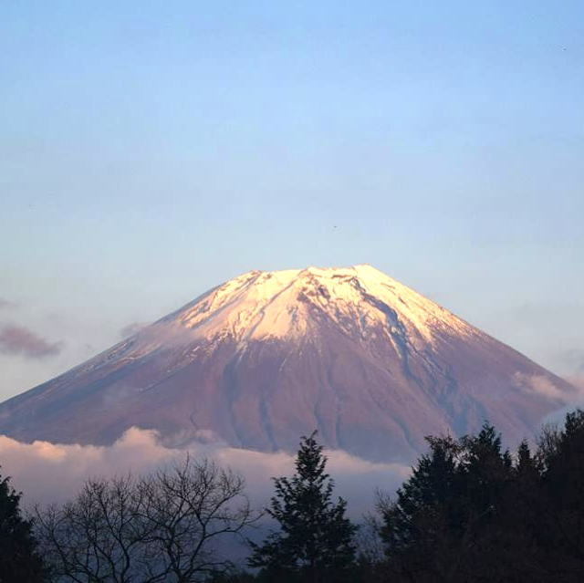【静岡】富士山の麓でキャンプ！