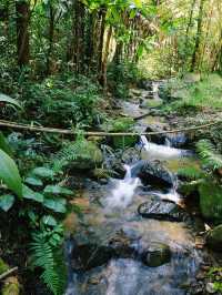 Tallest and best waterfall in Chiang Rai