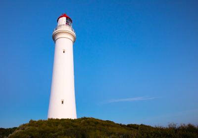 Split Point Lighthouse Tours