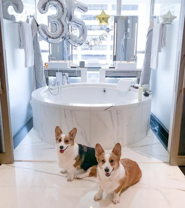 【寵物酒店邊間好?】2026人寵不分離,盤點那些寵物友好酒店:香港13間寵物酒店 Staycation 推介🐶+住宿餐飲優惠