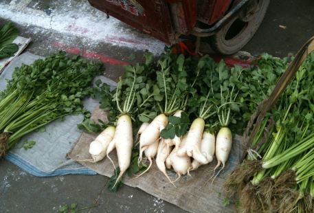 Shishang Vegetable Market