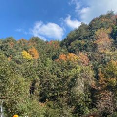 黄山魔宿·厢居集装箱野奢民宿·餐饮 User Photo