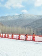 柳和青龍山滑雪场