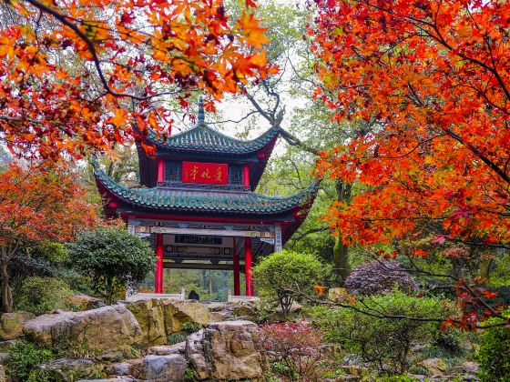 Autumn-Admiring Pavilion