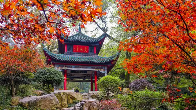 Hotels near Mount Yuelu