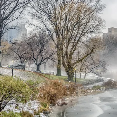 Номер с видом на горы Отели в г. Калгари