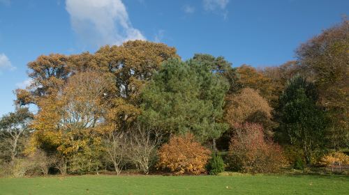 University Parks