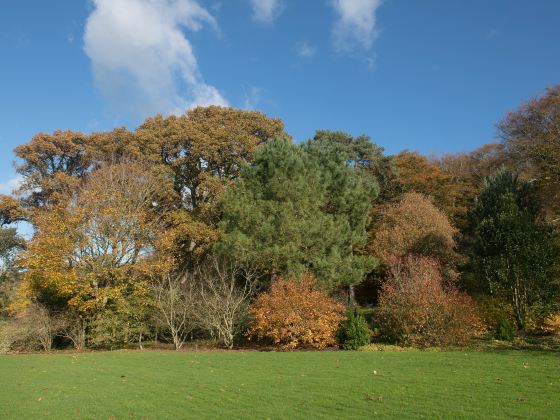 University Parks