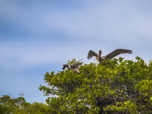 基拉德·加那國家公園