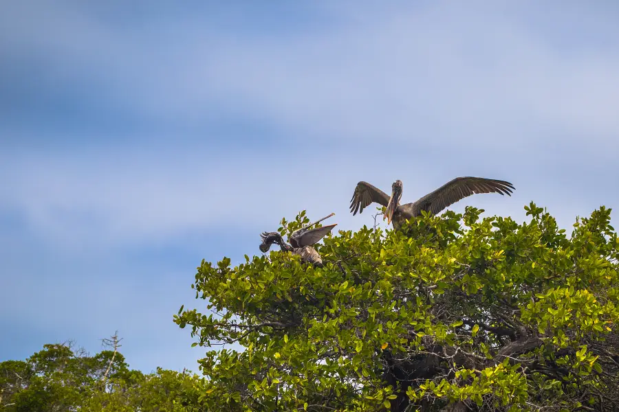 Keoladeo National Park