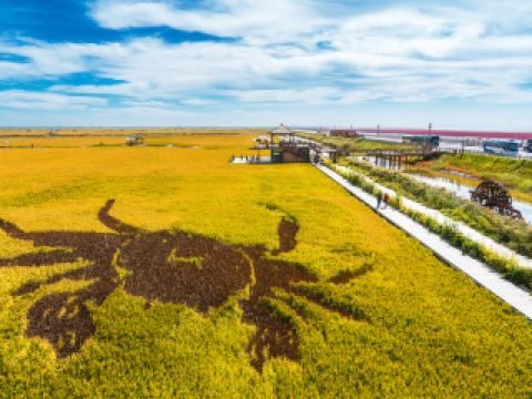 สถานีขนส่งสายใต้ใหม่ โรงแรมใกล้เคียง