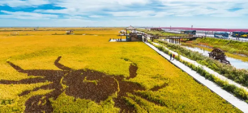 yiju Properties in Panjin