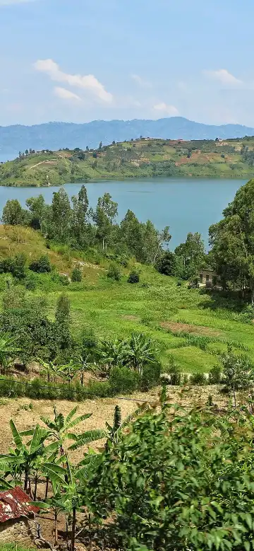 剛果民主共和國設有泳池的酒店