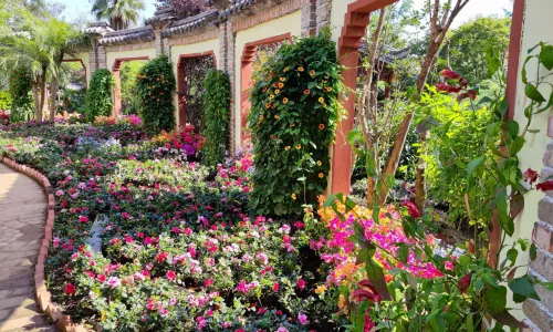 Cangshan Botanical Garden