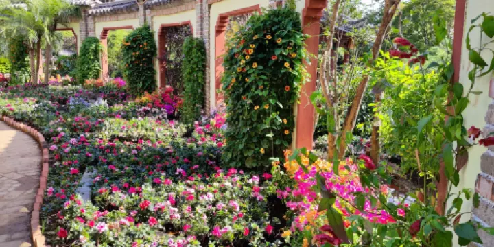 大理蒼山植物園