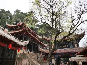 Shuiguanyin